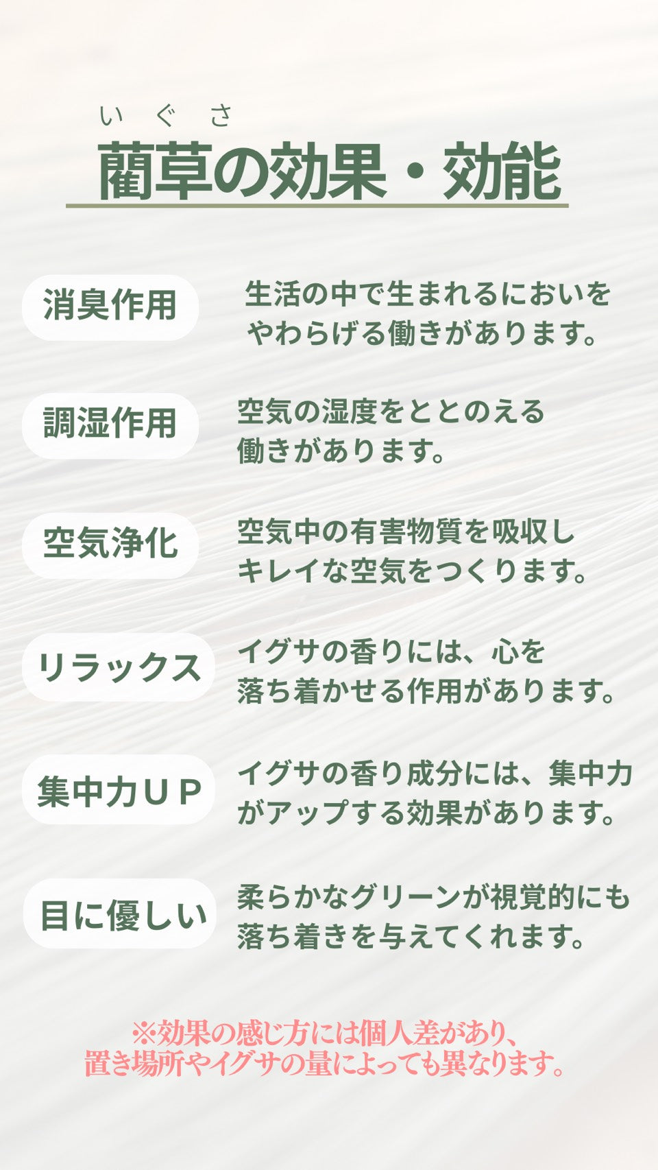 【4/22まで】い草の兜守り(グリーン)