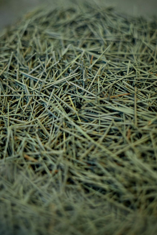 暮らしや心を整える、イグサの８つの力